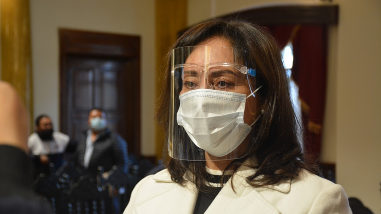 La secretaria departamental de Salud, Daysi Rocabado.