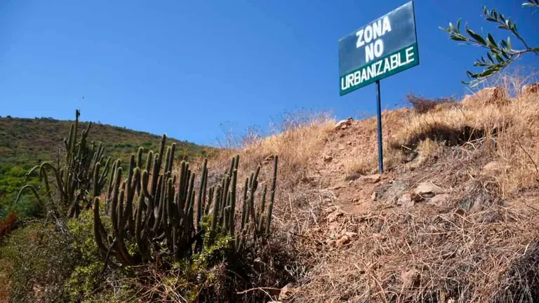 Alcald&iacute;a interviene presunto loteamiento en Yarwi Yarwi, en la serran&iacute;a de San Pedro, en 2021./ NO&Eacute; PORTUGAL
