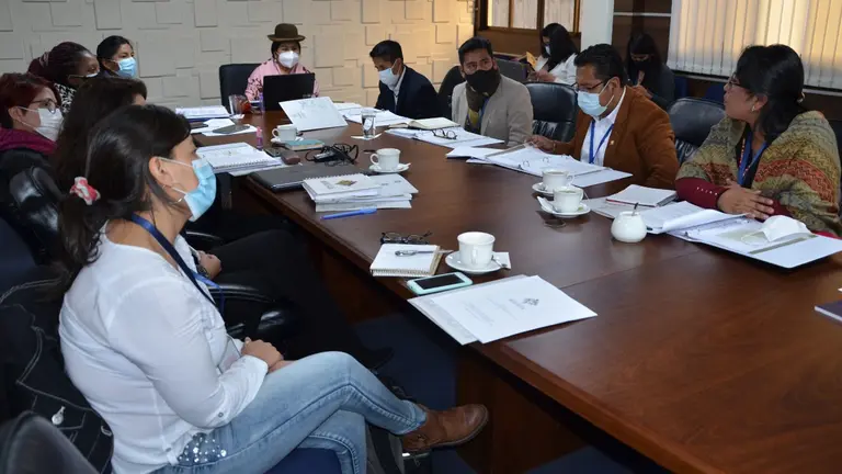 La reuni&oacute;n entre sectores que trabajan con el tema de defensa de la mujer. Ministerio