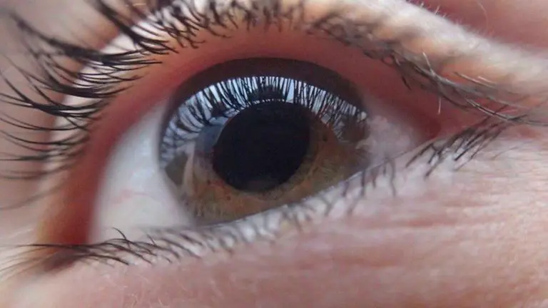 Imagen referencial de un ojo. Pixabay