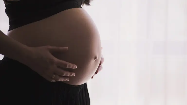 Imagen referencial de una mujer embarazada. PIXABAY