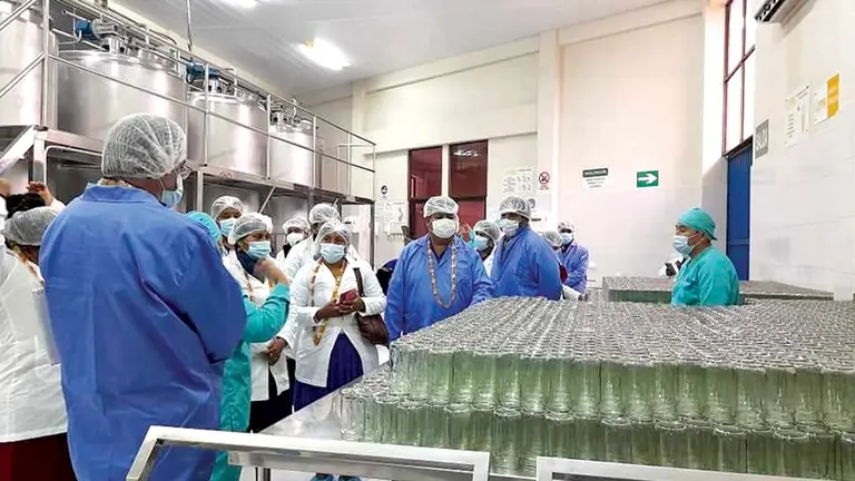 La inspección en la Planta Procesadora de Miel. RKC
