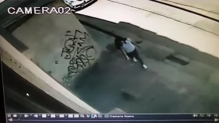 Im&aacute;genes de la c&aacute;mara de seguridad que muestra la sustracci&oacute;n del can de Dessard.