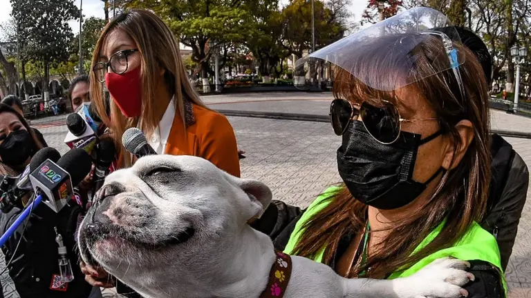 Una funcionaria de Zoonosis durante el anuncio de la feria este fin de semana. GAMC