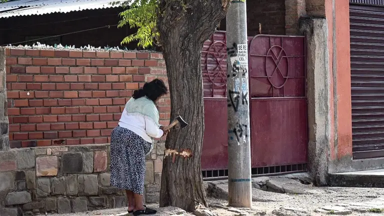 Una mujer corta una parte del árbol que está en la acera de su casa. DICO SOL&Iacute;S