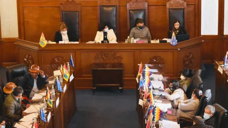 La Cámara de Senadores aprobó la ley para el crédito de $us 109 millones destinados a reponer fondos erogados en bonos durante la gestión 2020 por el Gobierno de Jeanine Áñez. Ministerio de Planificación del Desarrollo - Bolivia