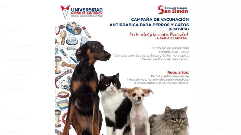 Afiche de la campa&ntilde;a antirr&aacute;bica.