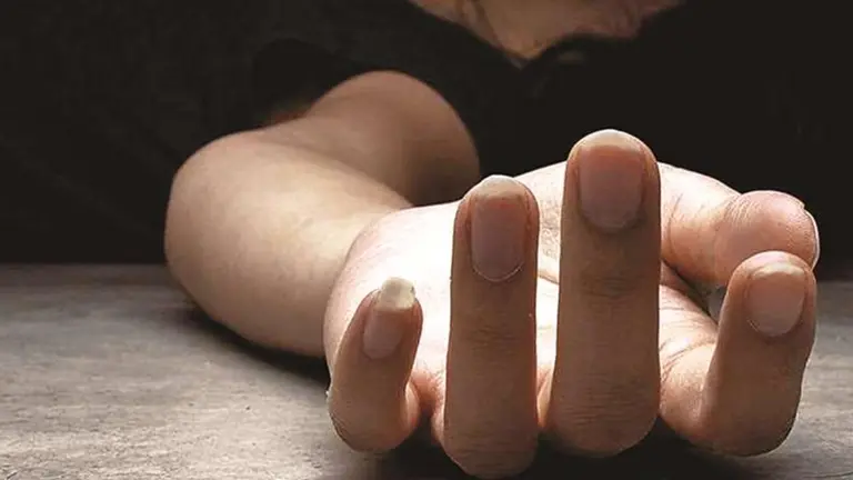 Imagen referencial de un feminicidio./ PIXABAY