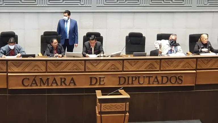 C&Aacute;MARA DE DIPUTADOS