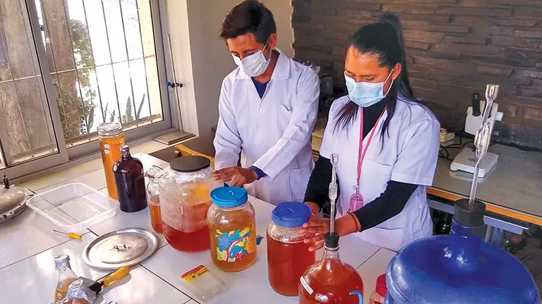 Tratamiento de miroorganismos y bacterias para el compostaje en la UMSS. GENTILEZA