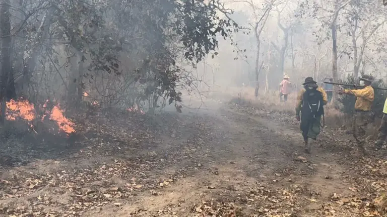 Incendio en la Chiquitania. ABI