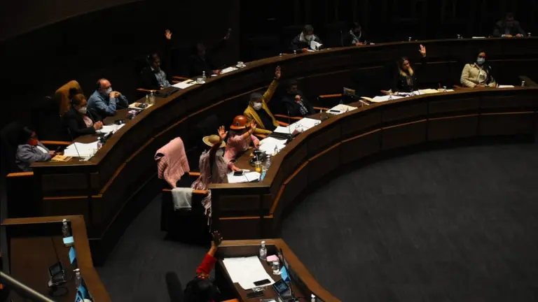 El pleno del Senado en una sesi&oacute;n. APG