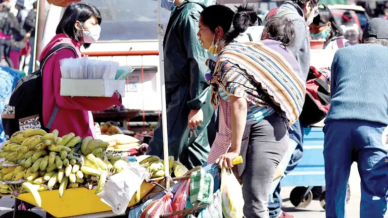 Una mujer vende frutas en el mercado cargando a su hija en un aguayo.  DICO SOLÍS