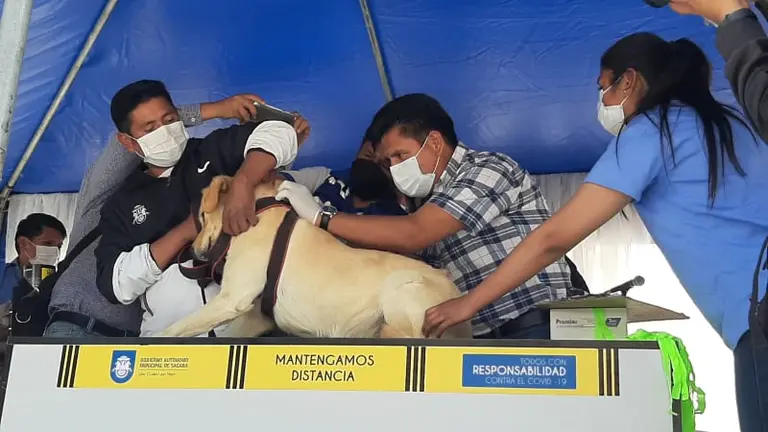 Personal de Zoonosis colabora con la tarea. SEDES