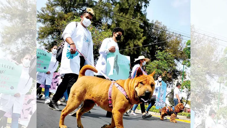 Estudiantes del área de salud marchan junto a sus mascotas, durante el Día de Lucha Contra la Rabia. NOÉ PORTUGAL