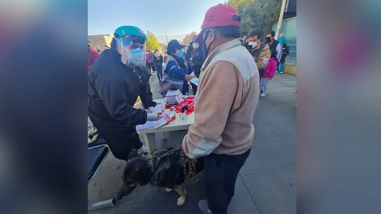 Campa&ntilde;a de vacunaci&oacute;n canina