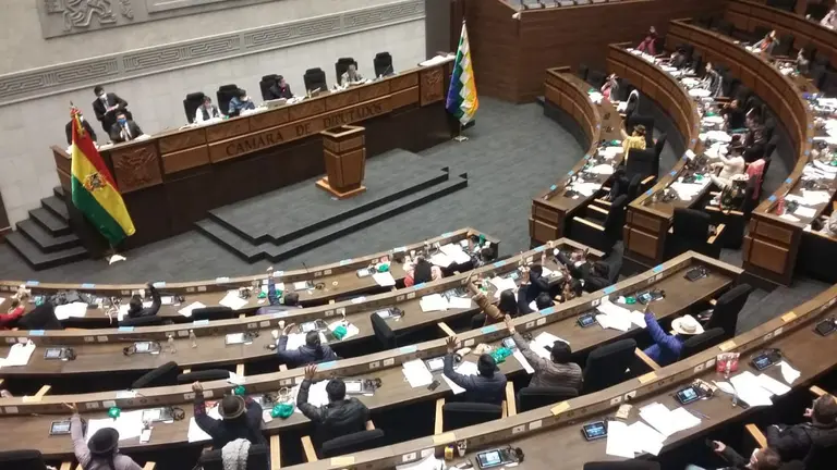 Interior de la C&aacute;mara de Diputados. ERBOL