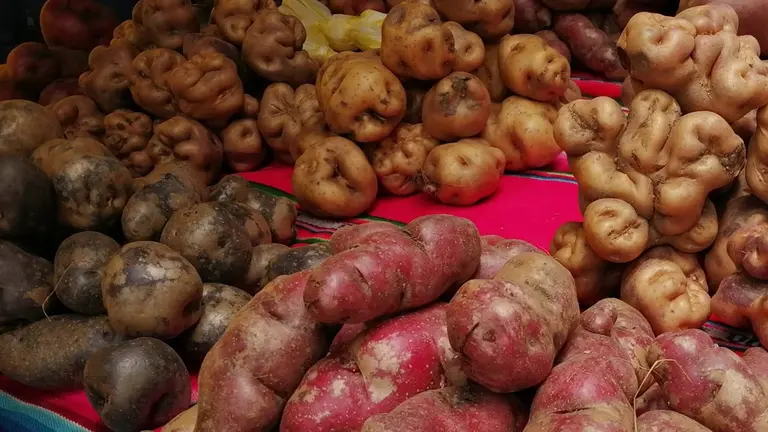 Producto en la feria. GOBERNACI&Oacute;N DE COCHABAMBA