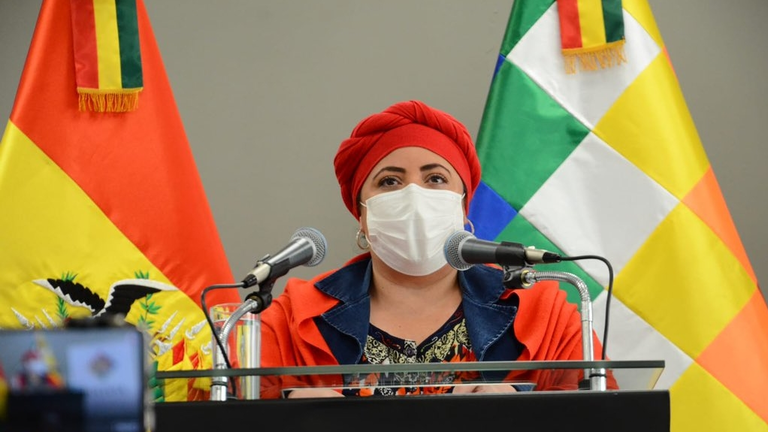La ministra de la Presidencia, Mar&iacute;a Nela Prada. ABI