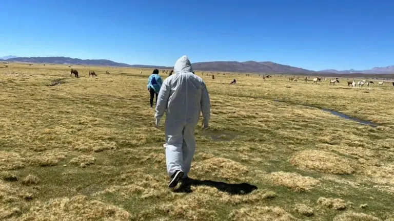 Foto referencial de Colchane. Soy Chile - ERBOL