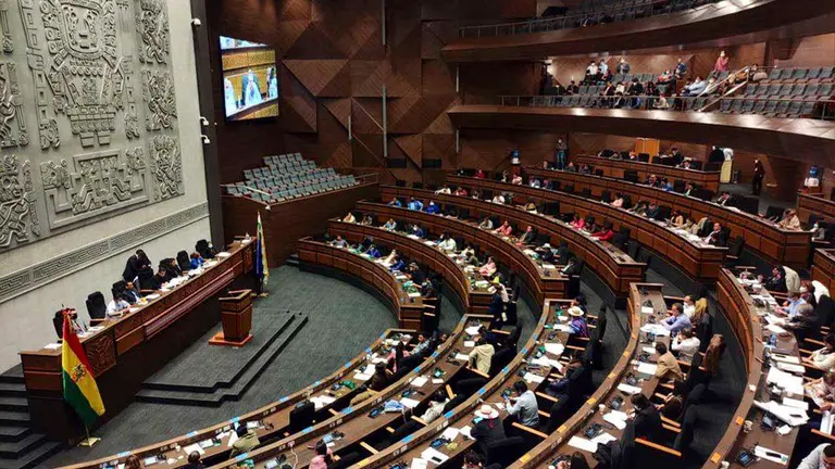 La Asamblea Legislativa Plurinacional, en una sesi&oacute;n. C&aacute;mara de Senadores