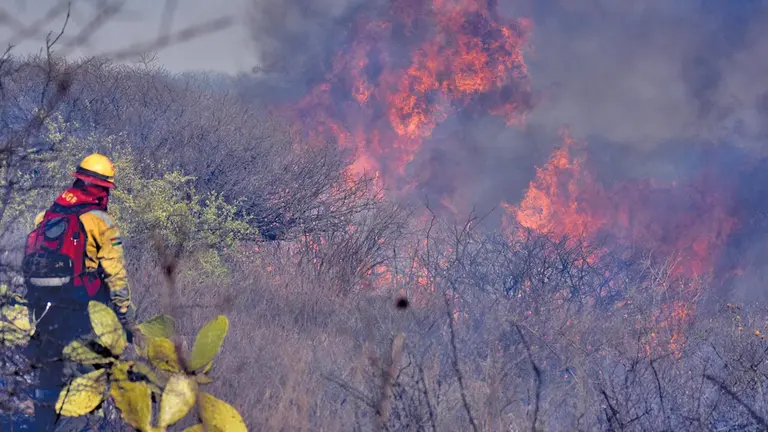 Un bombero interviene en el Parque Nacional Tunari.        DICO SOLÍS
