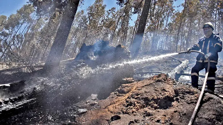 Un bombero realiza trabajo de enfriamiento en el Parque Nacional Tunari. DICO SOLÍS