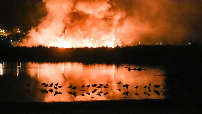 Varias especies de aves en el sector sur de la laguna Alalay. (Dico Sol&iacute;s)