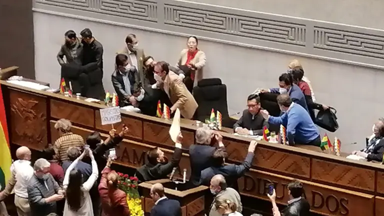 Sesi&oacute;n de diputados. ERBOL