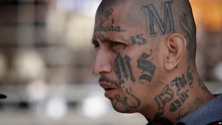 Imagen referencial de un miembro de Mara Salvatrucha detenido. VOZ DE AM&Eacute;RICA