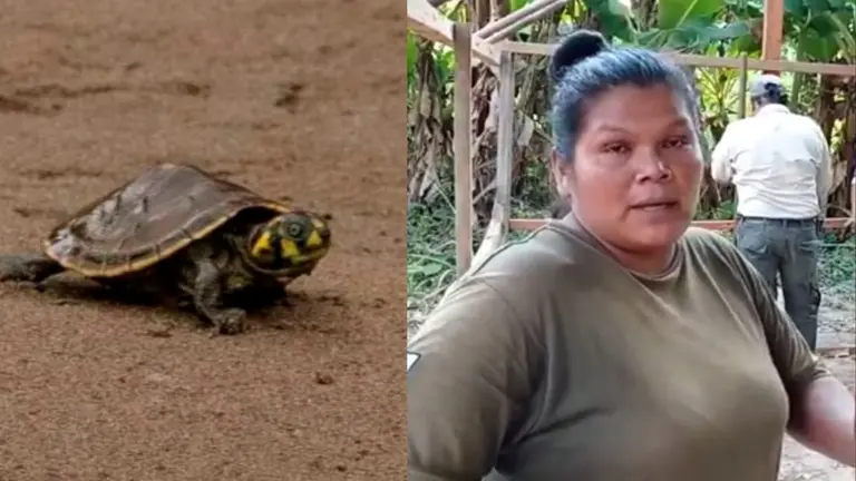 Una tortuga de la especie gal&aacute;pago. Del otro lado, una guardaparque. RRSS