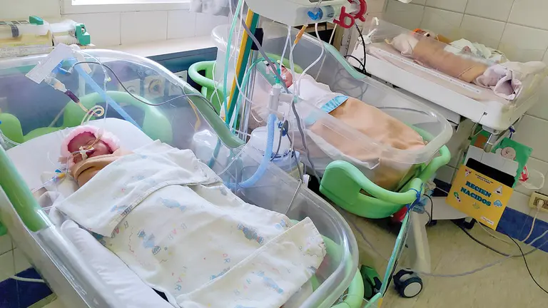 Bebés prematuros se recuperan en incubadoras. DICO SOLÍS