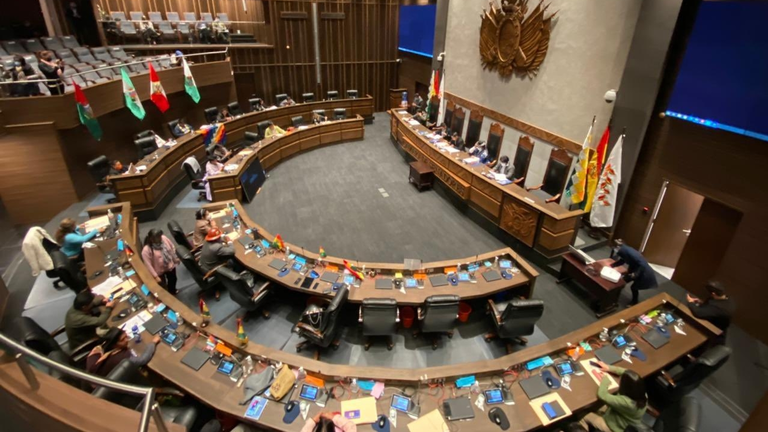 Una imagen de la sesi&oacute;n del Senado para tratar la abrogaci&oacute;n de la Ley 1386. SENADO DE BOLIVIA