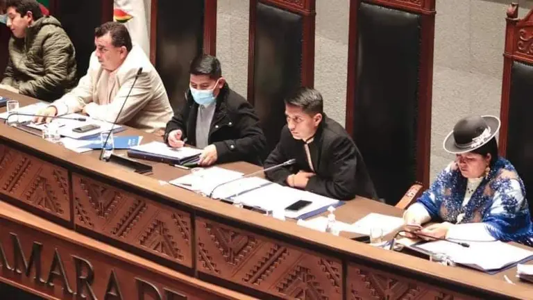 El presidente del Senado (c), en la sesi&oacute;n ordinaria. C&Aacute;MARA DE SENADORES