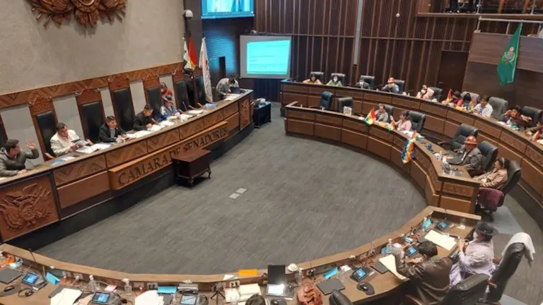 Una vista general de una sesi&oacute;n del Senado boliviano.