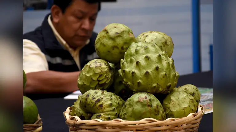 Foto referencial de frutos de chirimoya. OPINIÓN