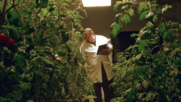 La ensalada de tomates marciana est&aacute; m&aacute;s cerca. EFE