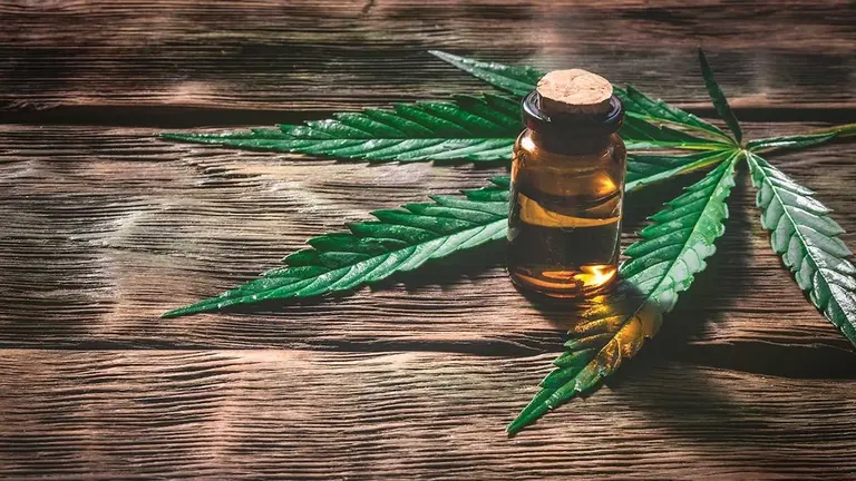Imagen representativa de aceite de marihuana.