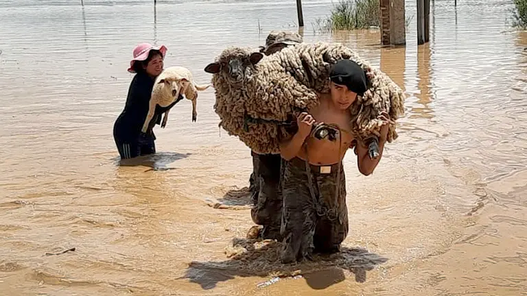 Efectivos militares y vecinos evacuando animales en Cliza. OPINIÓN