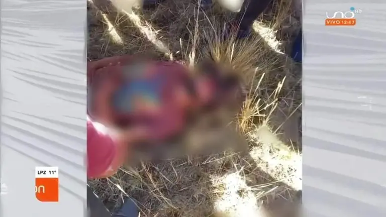Una de las personas que result&oacute; linchada en Vacas. CAPTURA RED UNO
