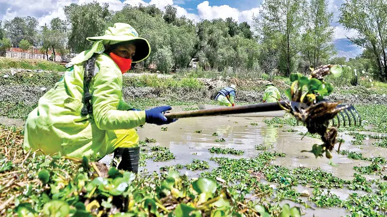 El trabajo en medio del agua contaminada. DICO SOLÍS