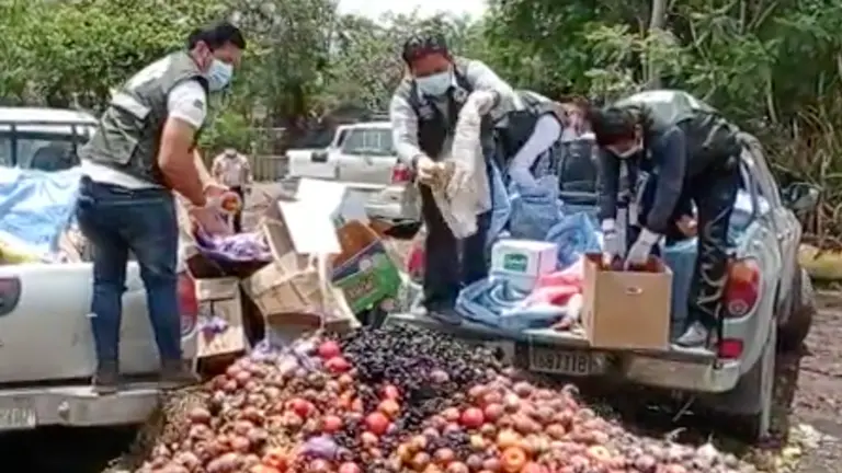 Senasag destruye fruta proveniente del Per&uacute; sin registro. SENASAG.