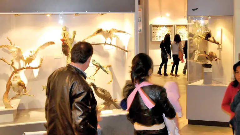 Un grupo de personas visita el Museo de Historia Natural Alcide D' Orbigny. ARCHIVO