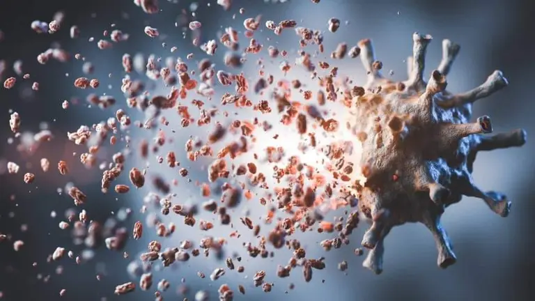 Una muestra referencial del virus de COVID-19. EL TIEMPO