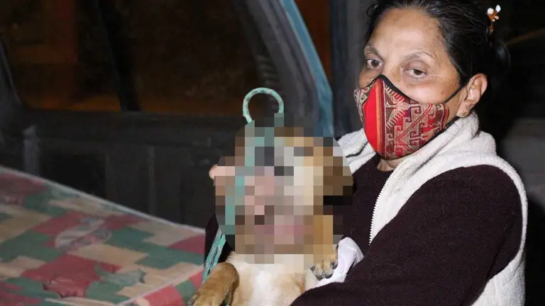 La activista de la organizaci&oacute;n &ldquo;Una Mano, Una Patita", Vivian S&aacute;nchez, sostiene al animal. (Alejandro Orellana)