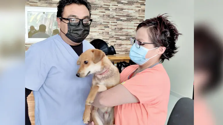 Angelito tras recibir atención médica. CLAUDIO ROJAS