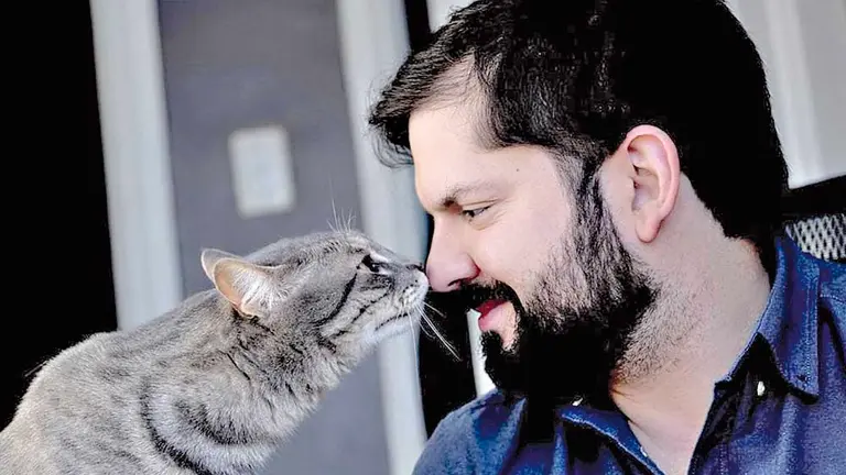 El presidente electo de Chile, Gabriel Boric, junto al gato de su pareja Bulu. TWITTER