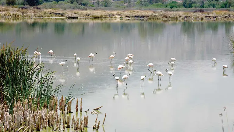La laguna Alalay de la ciudad de Cochabamba. DICO SOLÍS