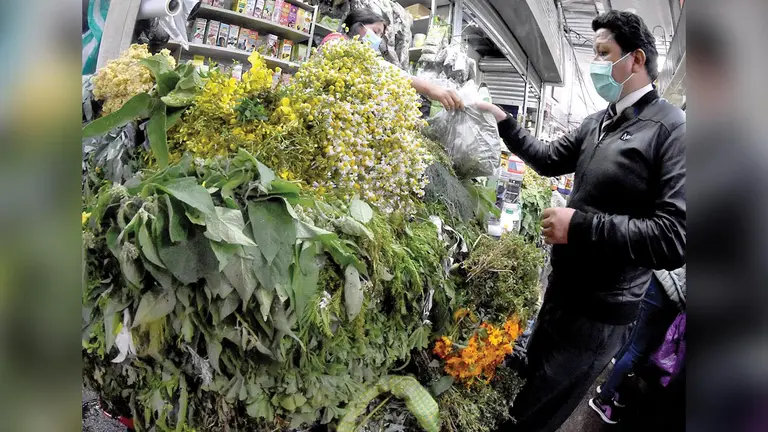 Un puesto de venta de plantas medicinales en un mercado de Cochabamba. DICO SOLÍS