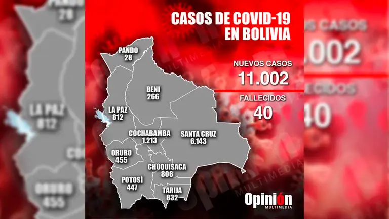 Cuadro de los casos COVID-19 de ayer en el pa&iacute;s. ALEJANDRO ORELLANA